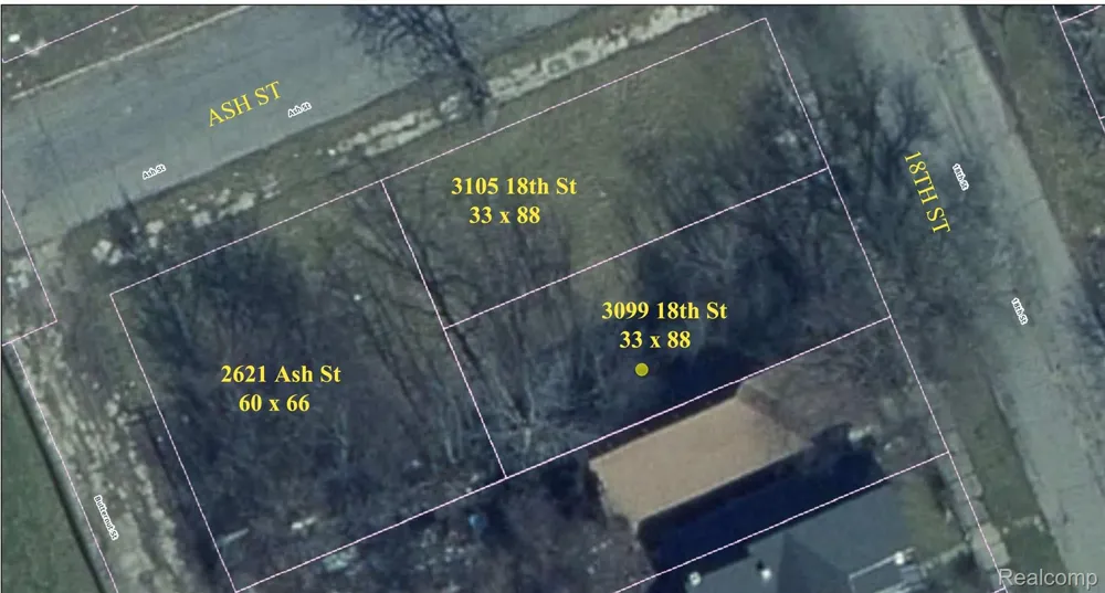 2621 Ash Street Detroit City, MI 48208