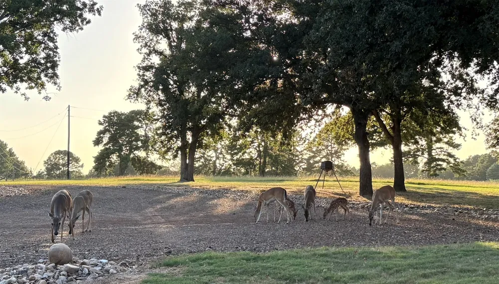 145 Private Road 7004 Frankston, TX 75763