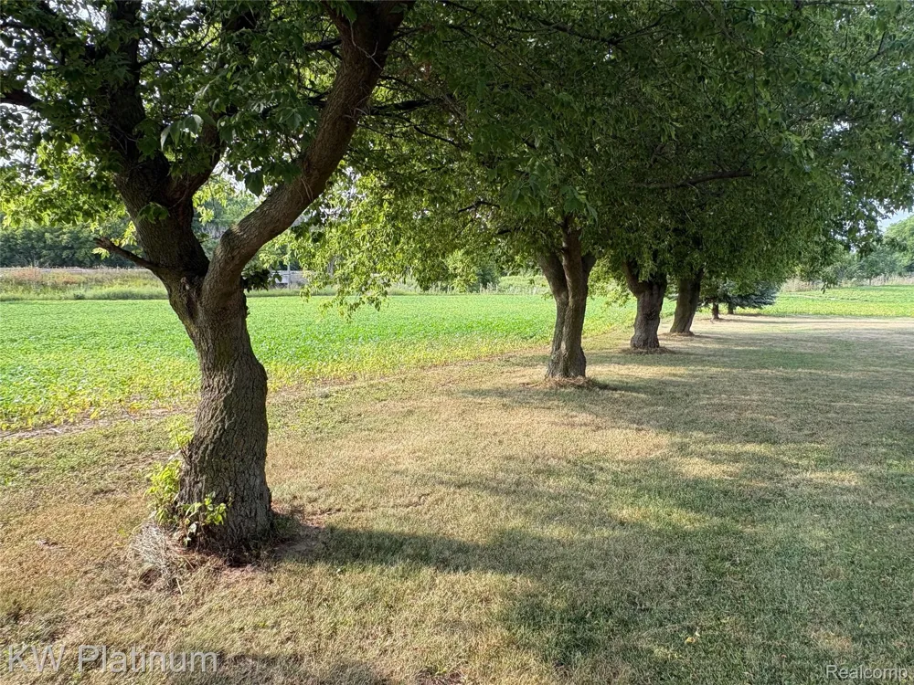 3260 Colclough Road Elk Township, MI 48471