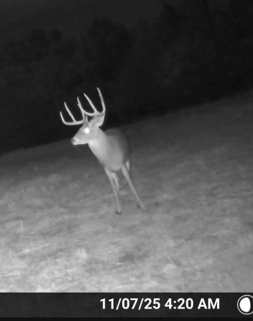 2375 County Road 3080 Ben Franklin, TX 75415