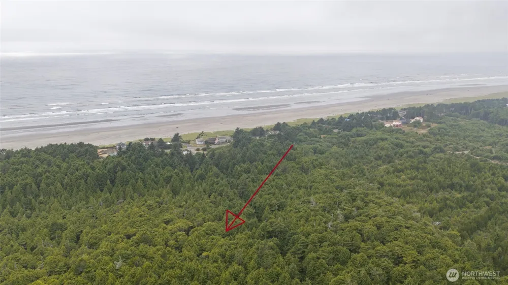 0 Lots 1-3 Lincoln  & lot 12 Garfield Moclips, WA 98562
