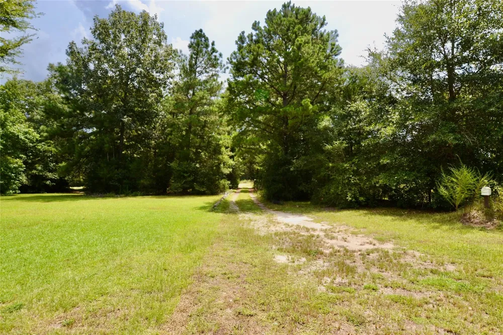 160 Kennedy Drive Livingston, TX 77351
