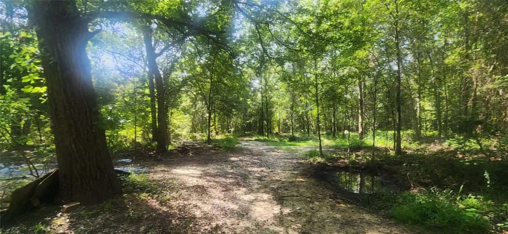 S Skylark Road Lane, OK 74555