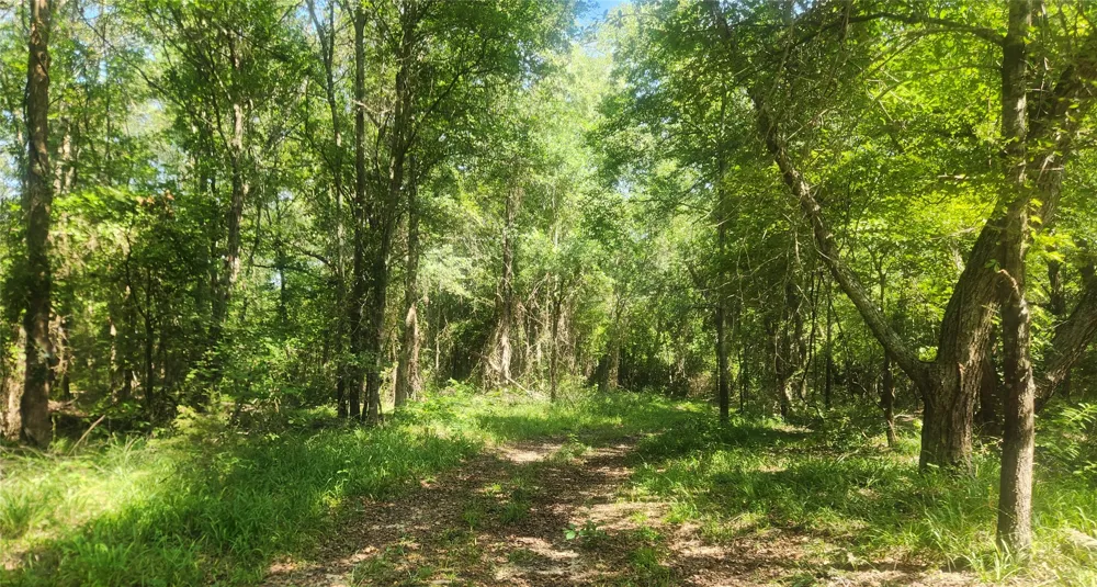 S Skylark Road Lane, OK 74555