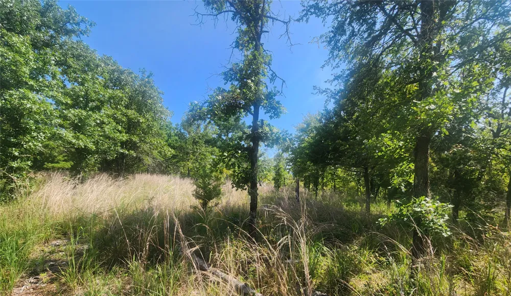S Skylark Road Lane, OK 74555
