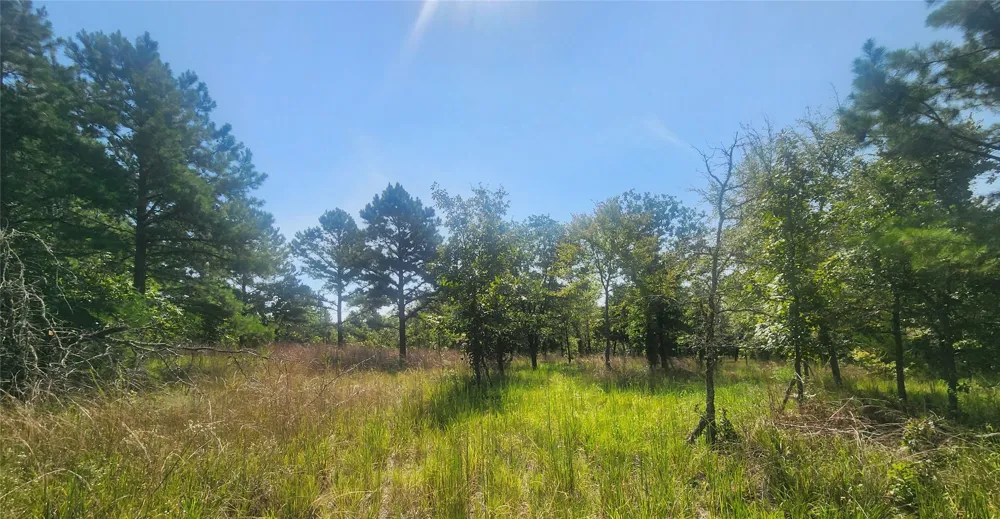 S Skylark Road Lane, OK 74555