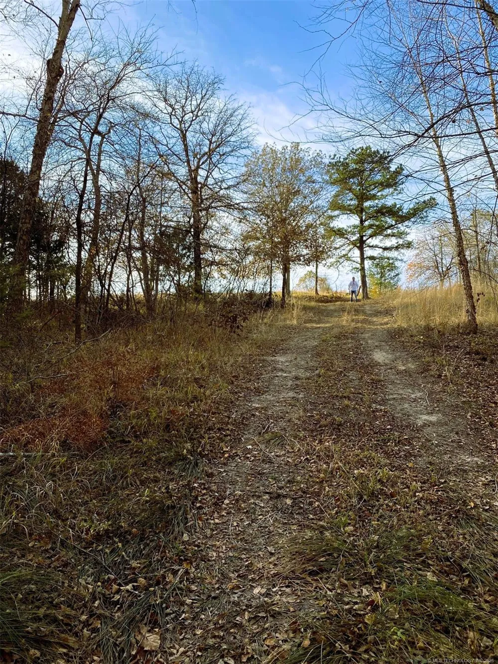 S Skylark Road Lane, OK 74555