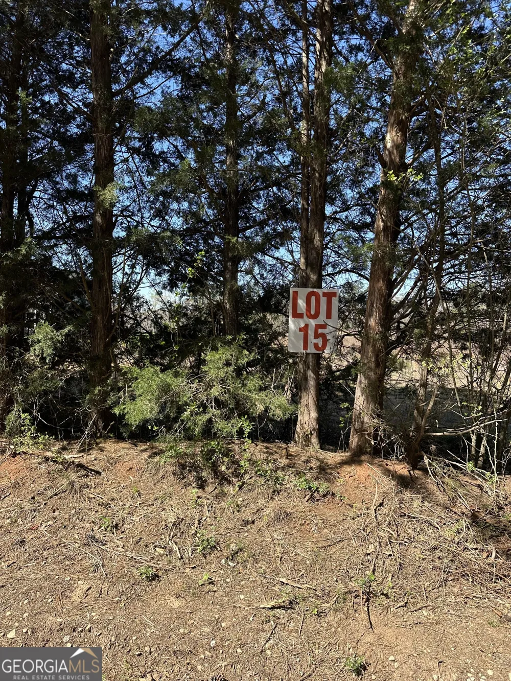 131 Oak RD Locust Grove, GA 30248