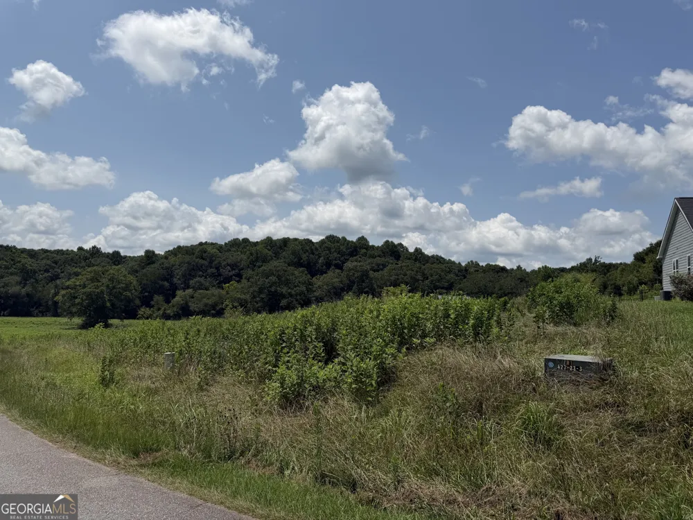 0 Middle Fork LN Carnesville, GA 30521