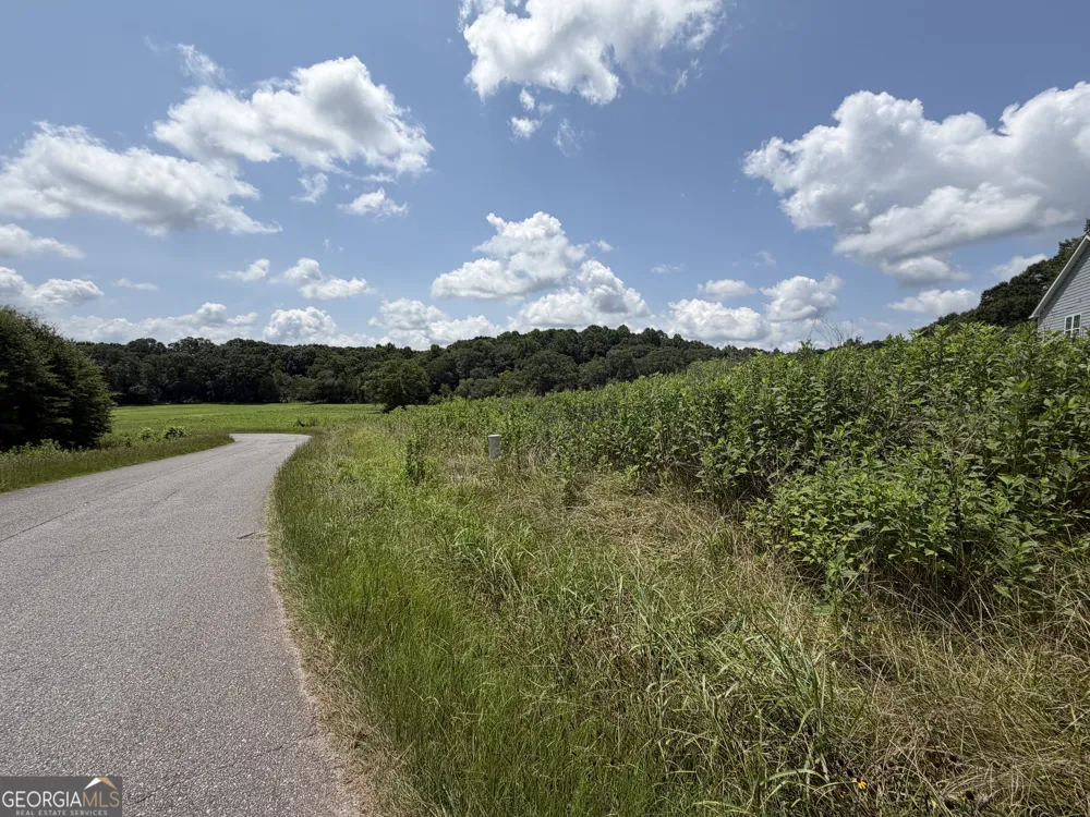 0 Middle Fork LN Carnesville, GA 30521