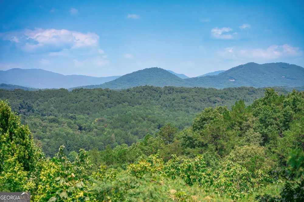 88 Down Yonder RD Morganton, GA 30560