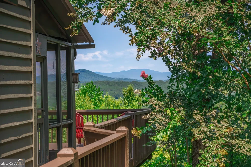88 Down Yonder RD Morganton, GA 30560