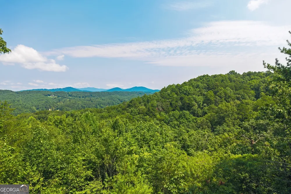 88 Down Yonder RD Morganton, GA 30560