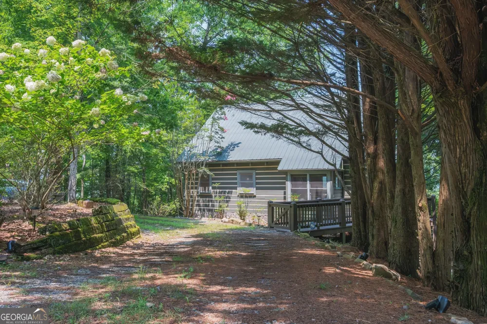 88 Down Yonder RD Morganton, GA 30560