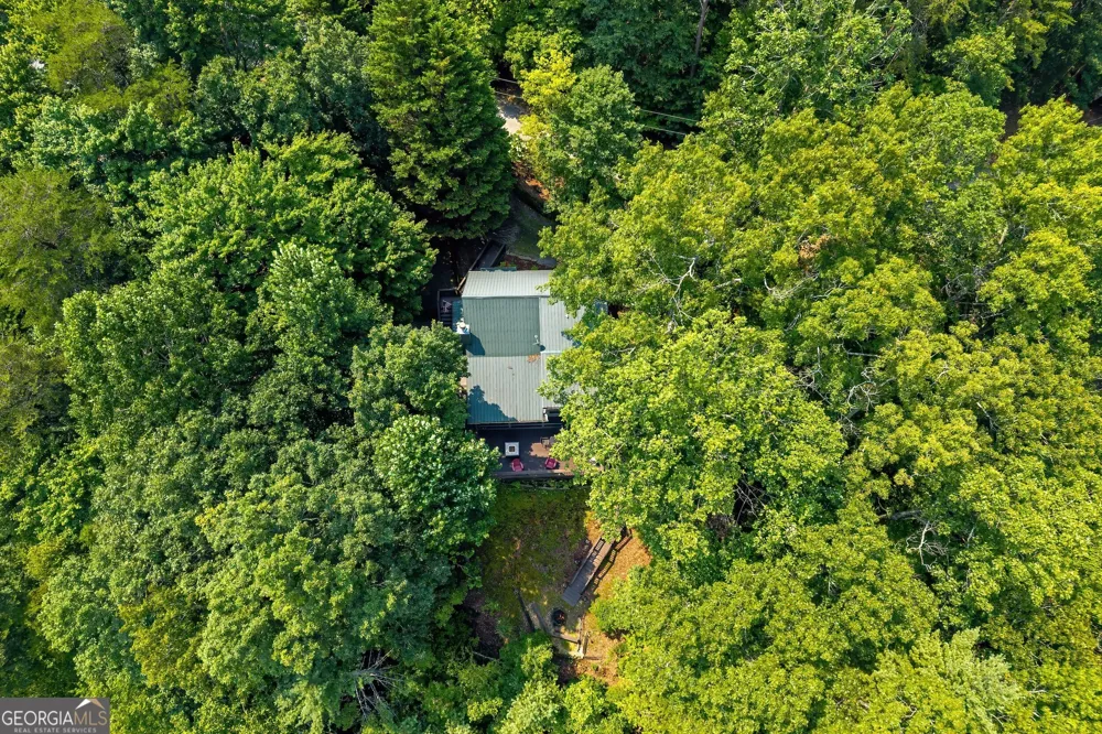 88 Down Yonder RD Morganton, GA 30560