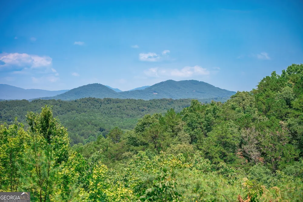 88 Down Yonder RD Morganton, GA 30560