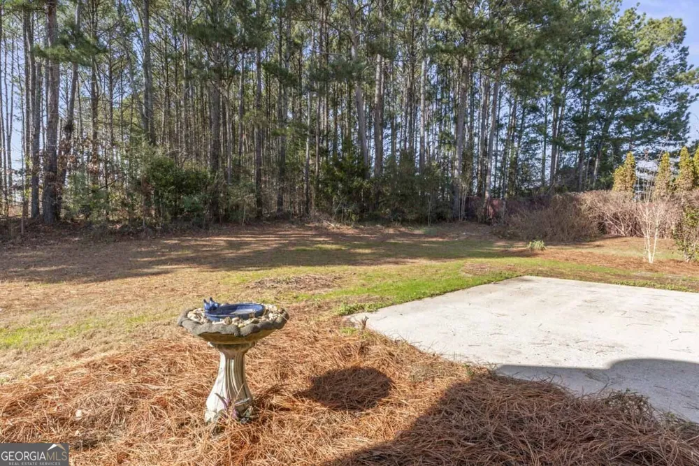 1216 McAllistar DR Locust Grove, GA 30248