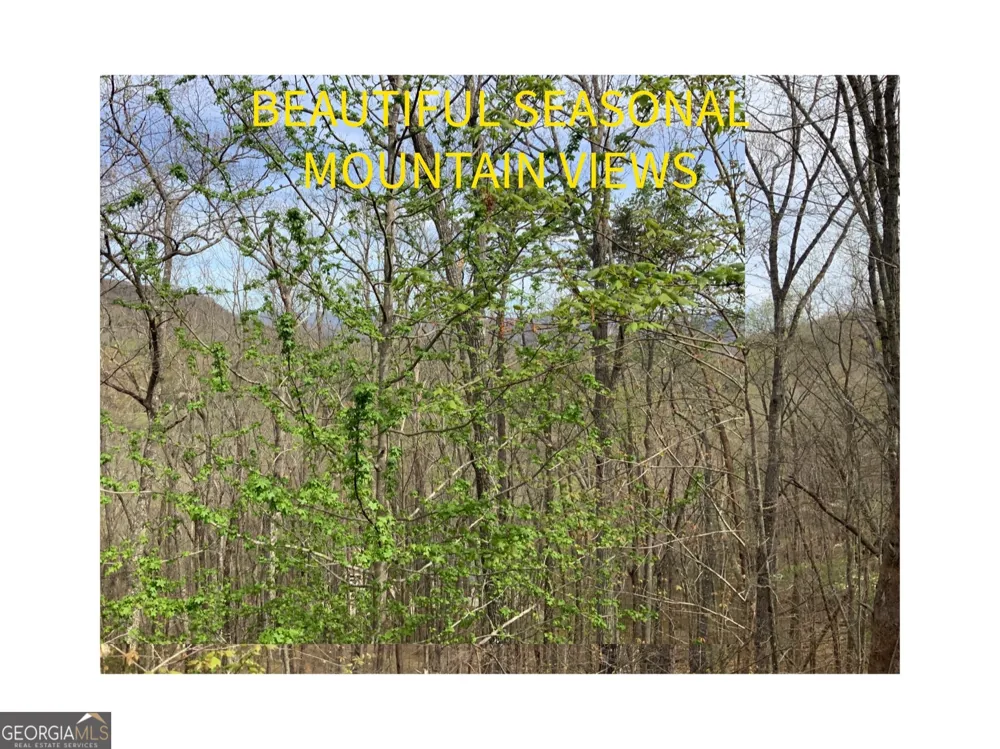 7026 Peebles RD Young Harris, GA 30582