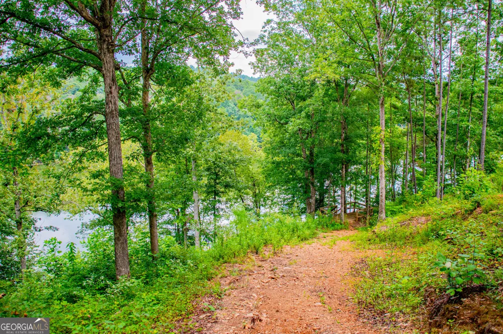 385 Foster Cove DR Lineville, AL 36266