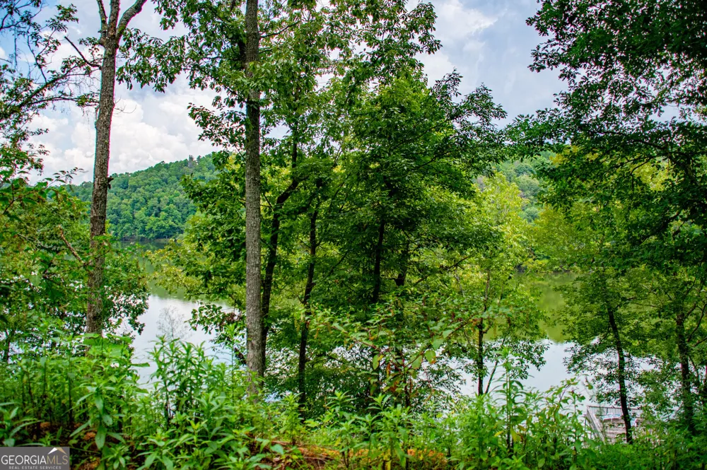 385 Foster Cove DR Lineville, AL 36266