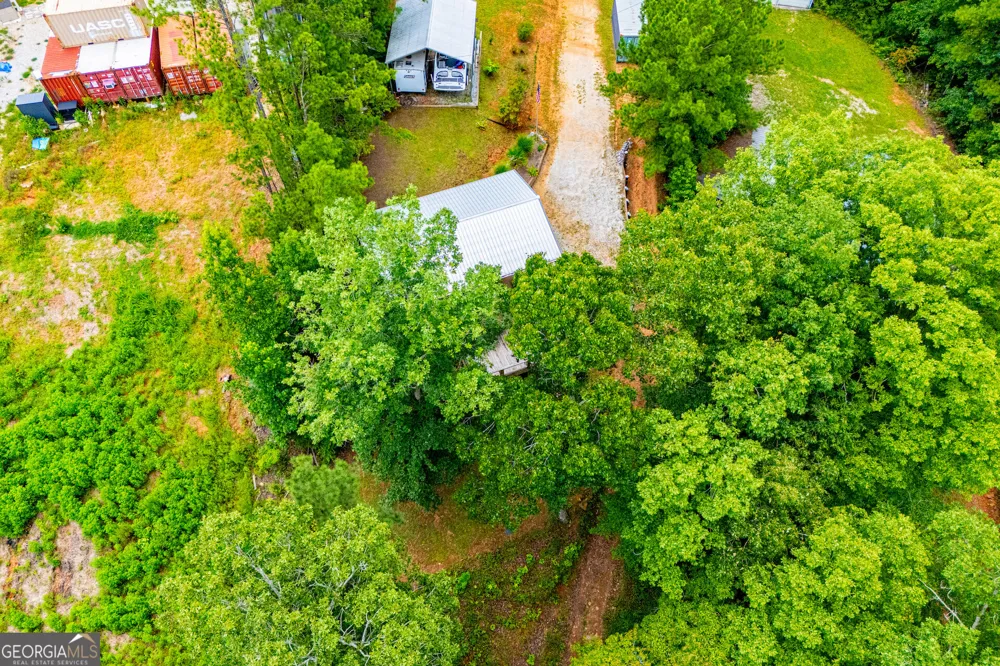 385 Foster Cove DR Lineville, AL 36266