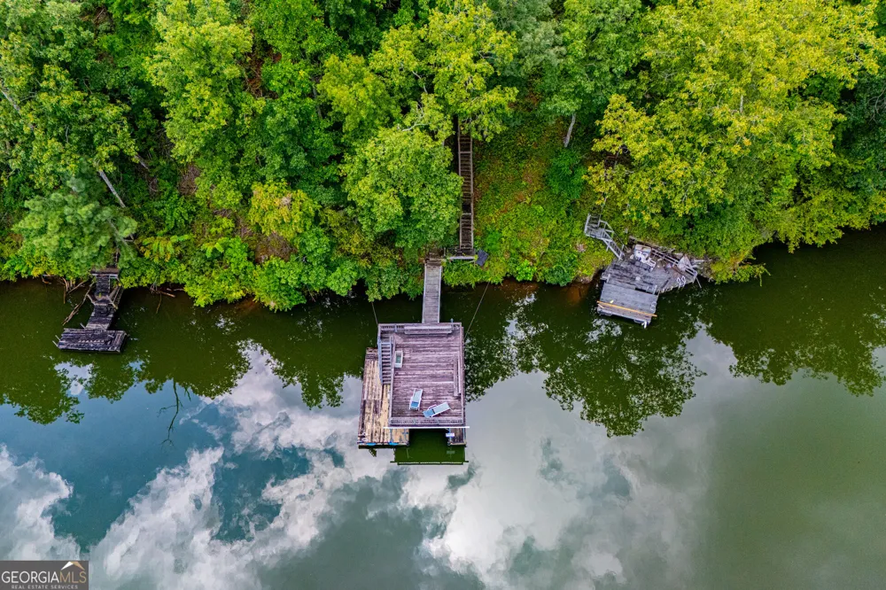 385 Foster Cove DR Lineville, AL 36266