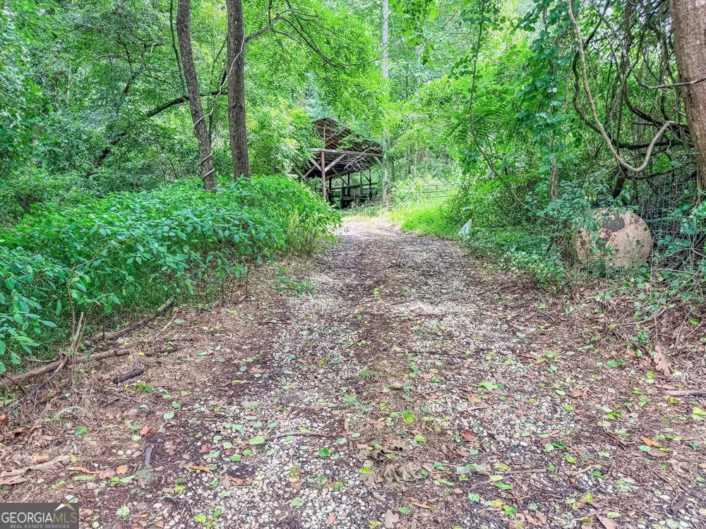 122 Crawford Cove RD Sylva, NC 28725