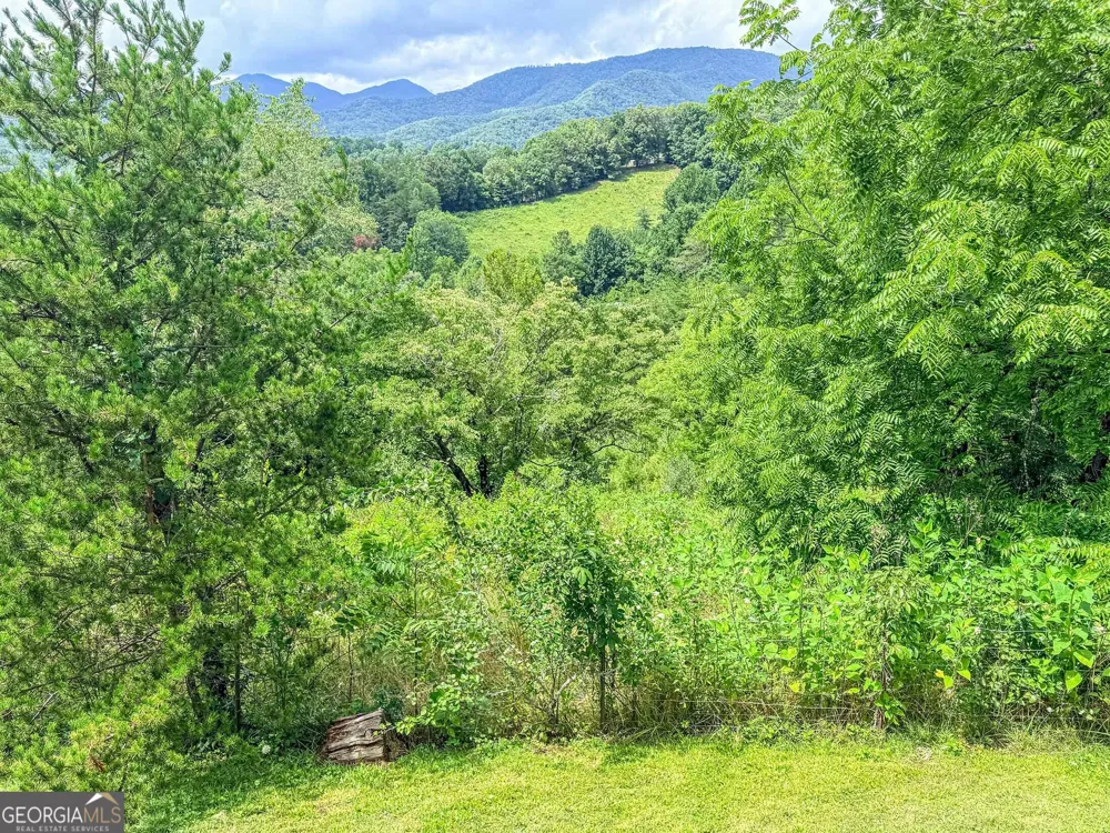 122 Crawford Cove RD Sylva, NC 28725