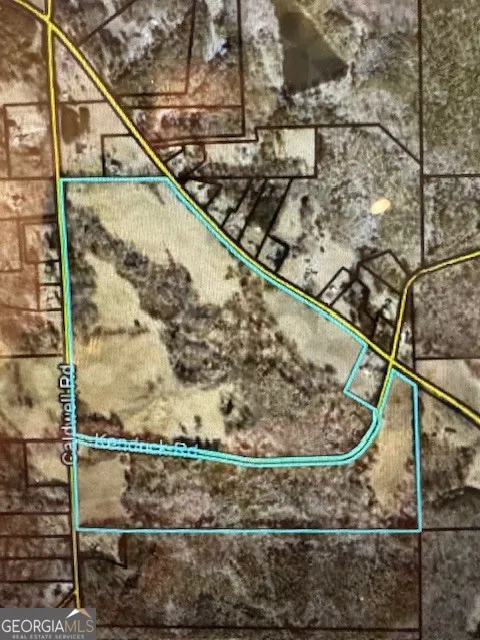 LOT 1 Caldwell Zebulon, GA 30295