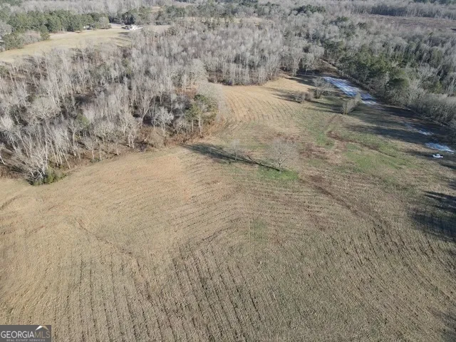 LOT 1 Caldwell Zebulon, GA 30295