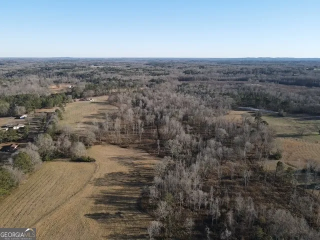 LOT 1 Caldwell Zebulon, GA 30295
