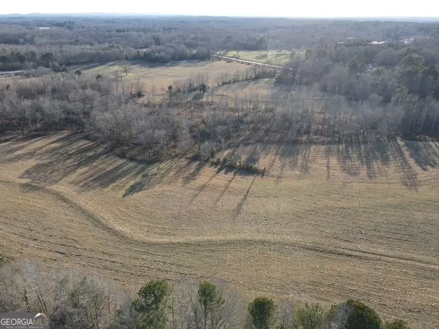 LOT 1 Caldwell Zebulon, GA 30295