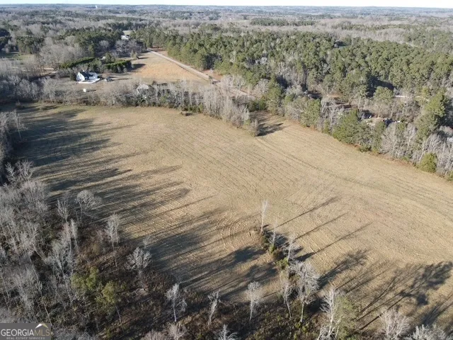 LOT 1 Caldwell Zebulon, GA 30295