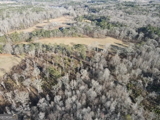 LOT 1 Caldwell Zebulon, GA 30295