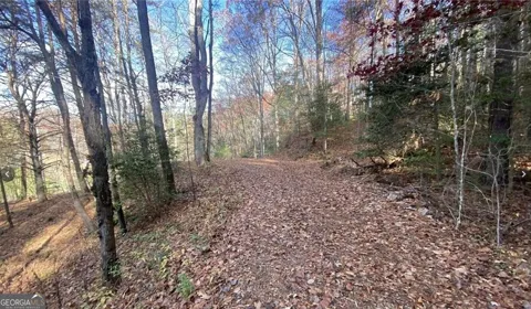 1 Barefoot Hills RD