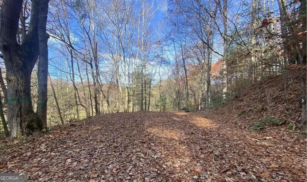 1 Barefoot Hills RD Hiawassee, GA 30546