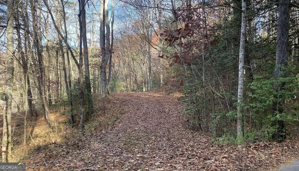 1 Barefoot Hills RD Hiawassee, GA 30546