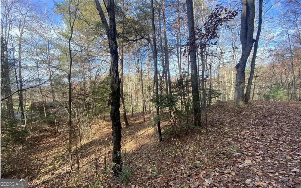 1 Barefoot Hills RD Hiawassee, GA 30546