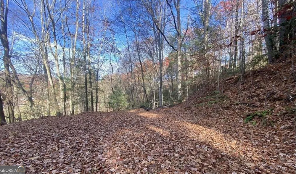 1 Barefoot Hills RD Hiawassee, GA 30546