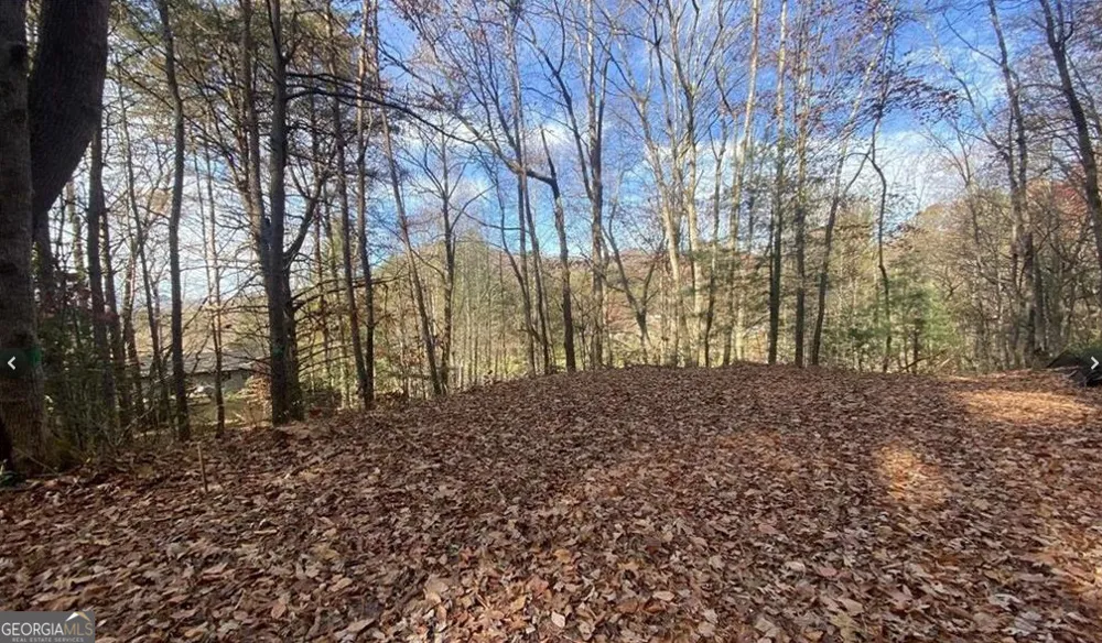 1 Barefoot Hills RD Hiawassee, GA 30546