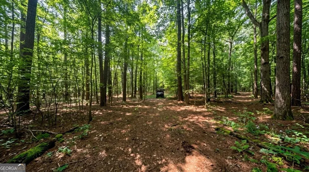 308 Pitts Chapel RD Newborn, GA 30056