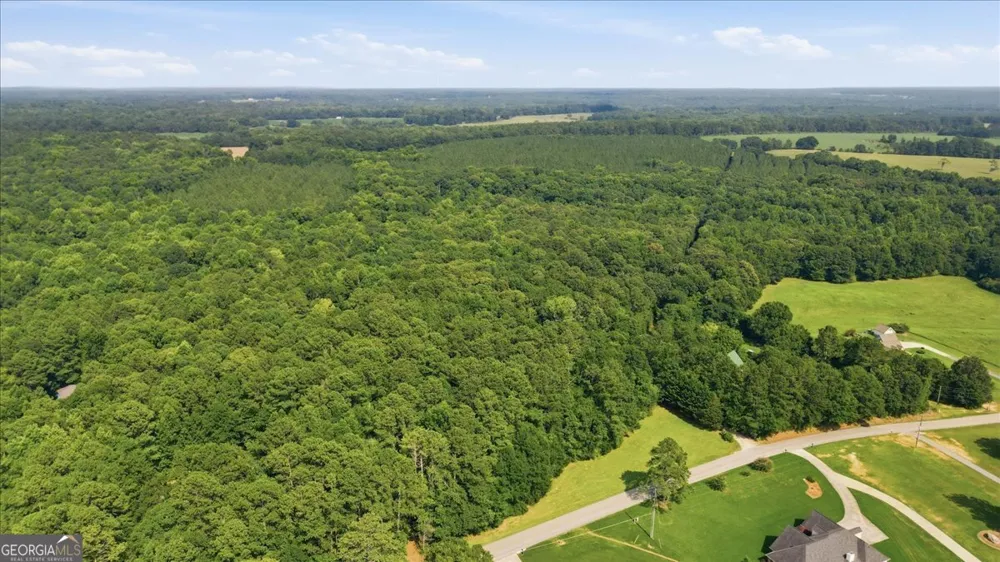 308 Pitts Chapel RD Newborn, GA 30056