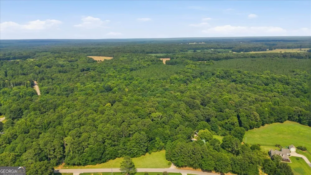 308 Pitts Chapel RD Newborn, GA 30056