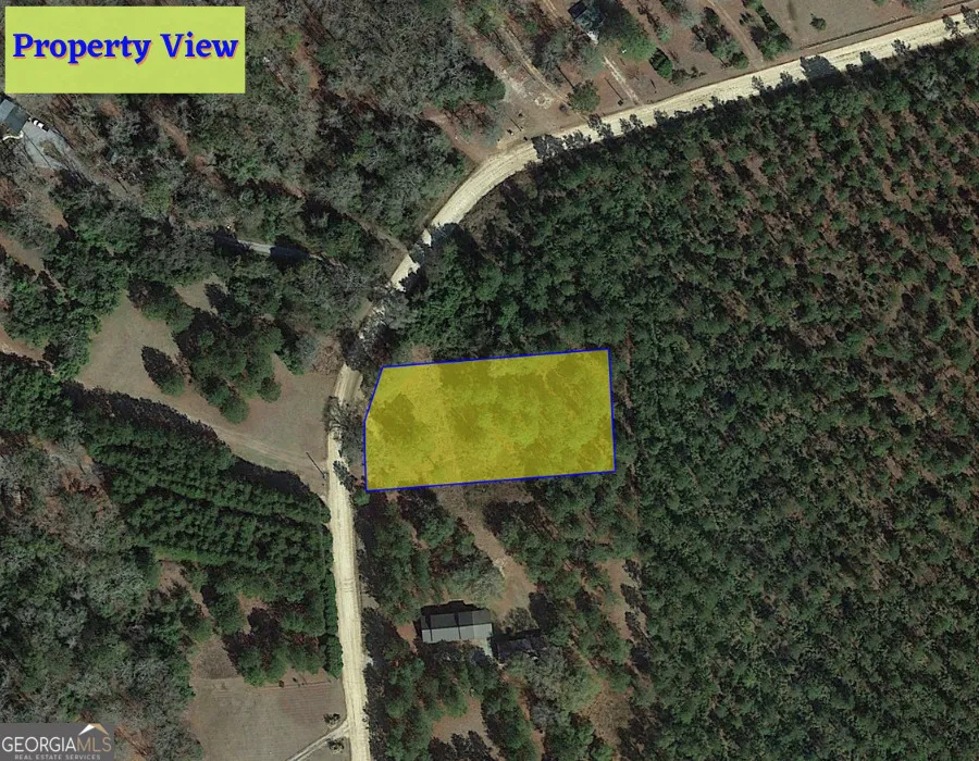 1 Jenny Lynn LN Fort Gaines, GA 39851