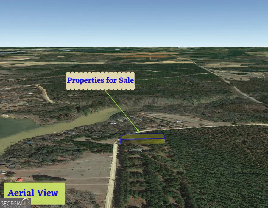 1 Jenny Lynn LN Fort Gaines, GA 39851