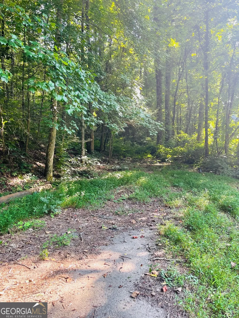 4092 Helen HWY Cleveland, GA 30528