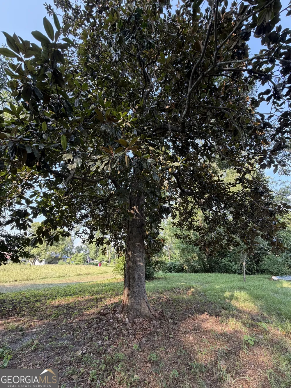 321 Leo Marshall ST Blackshear, GA 31516