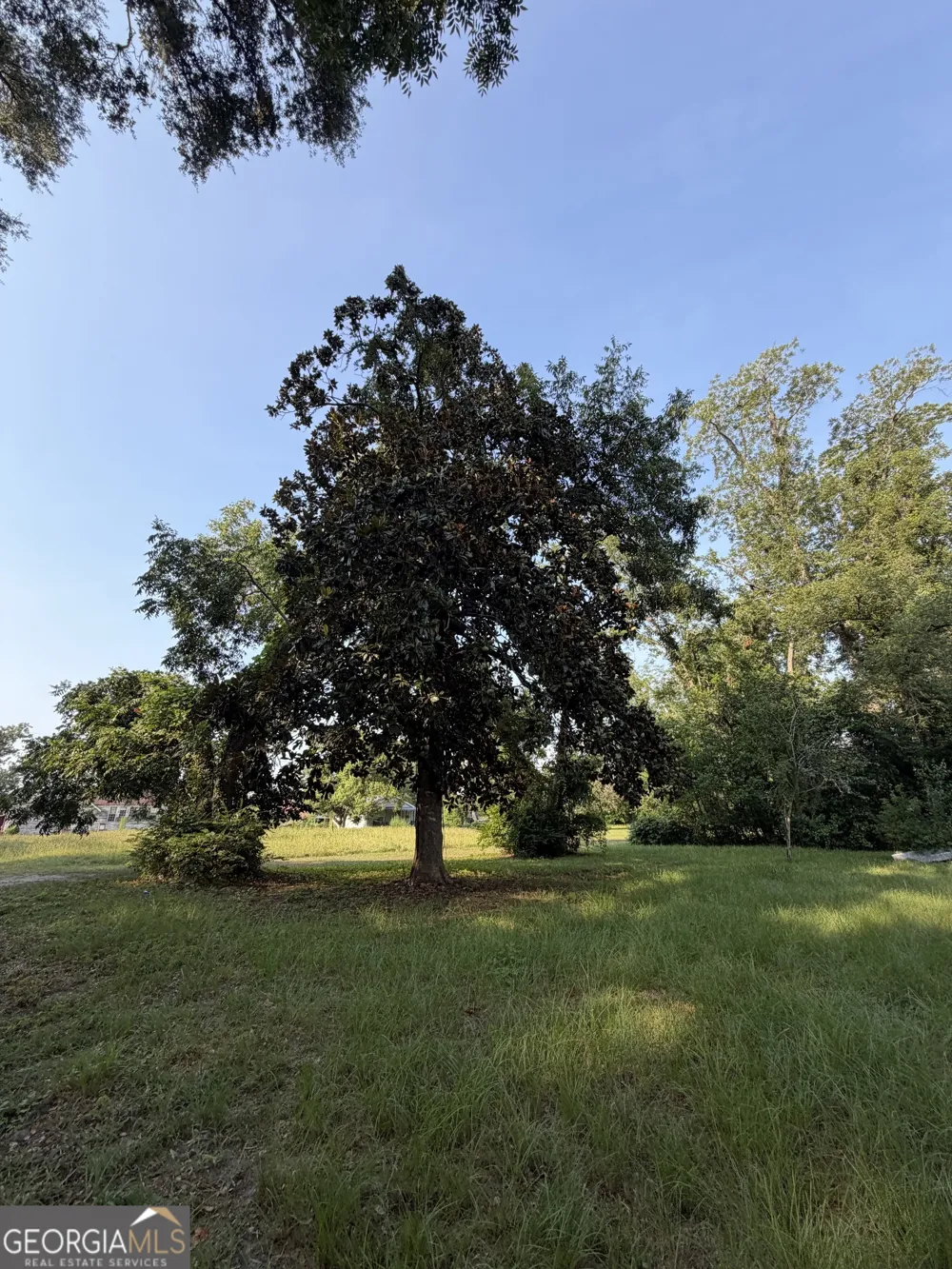 321 Leo Marshall ST Blackshear, GA 31516