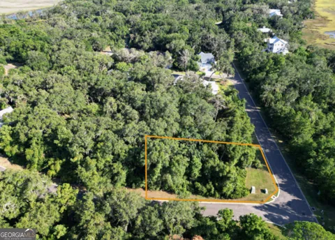 V/L 519 Massias Lane + Campbell PKWY