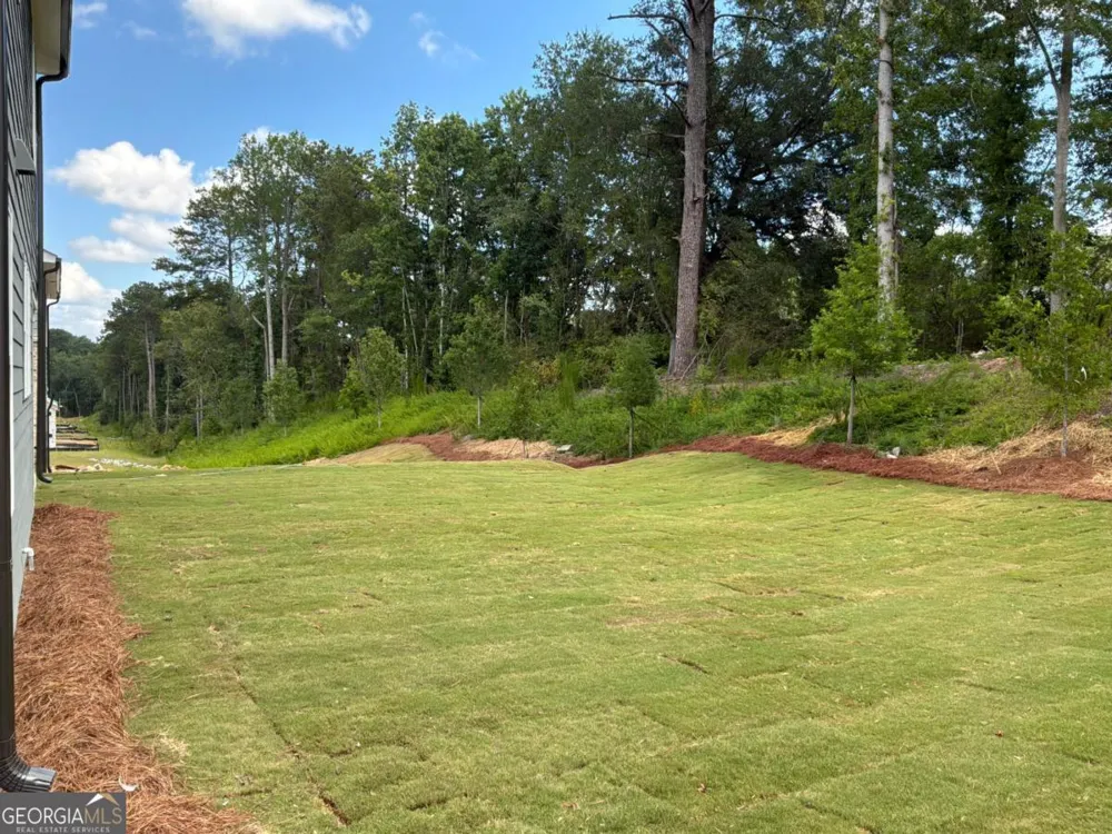 3455 Fern Hollow PATH Buford, GA 30519